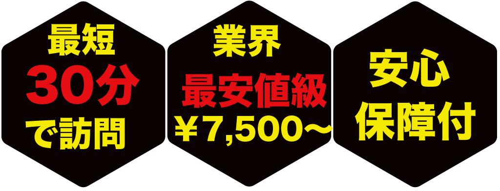 蜂駆除の匠 キャラクターイラスト